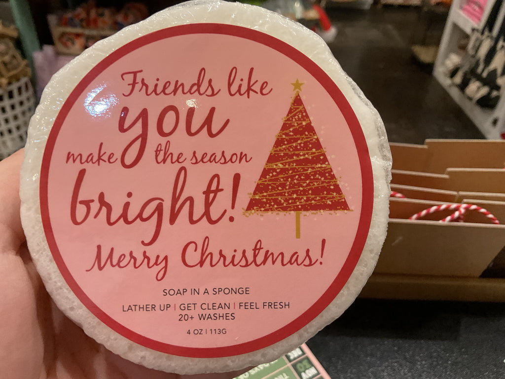 Soap In a Sponge Christmas Collection