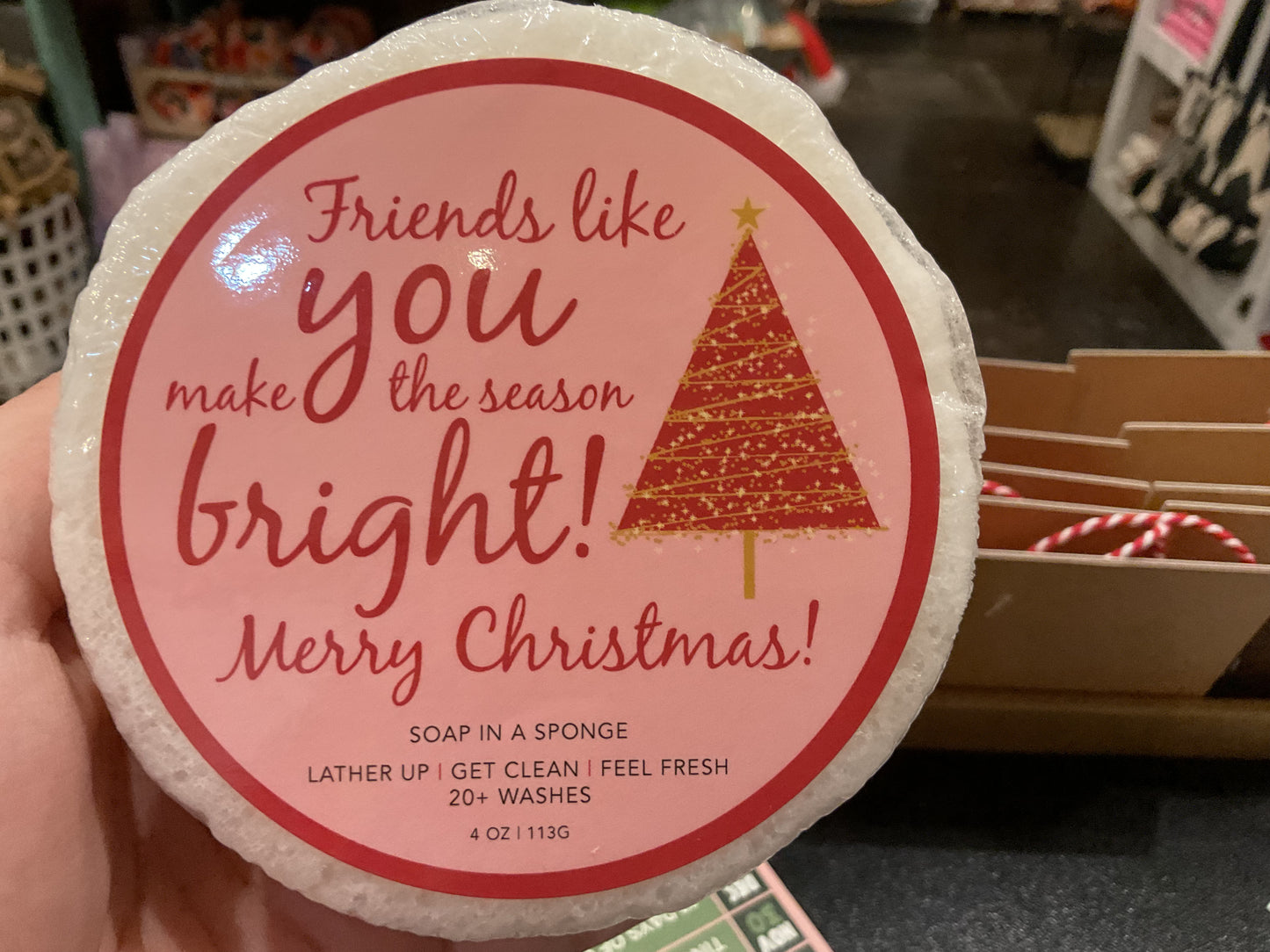 Soap In a Sponge Christmas Collection
