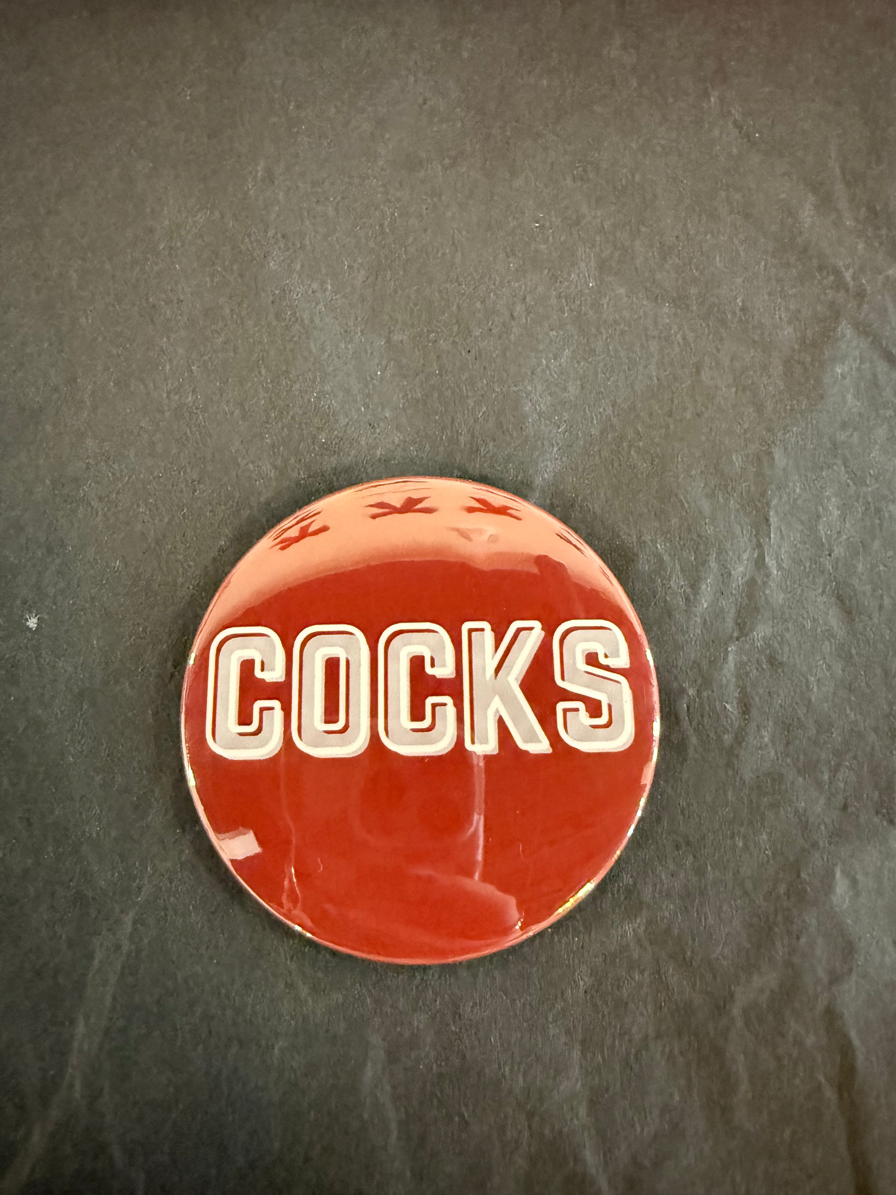Gamecocks Gameday Pins