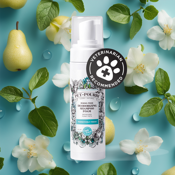 Pet~Pourri Pawsitively Fresh Rinse-Free Deodorizing Shampoo