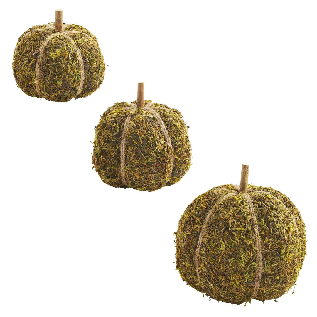 Moss Pumpkins