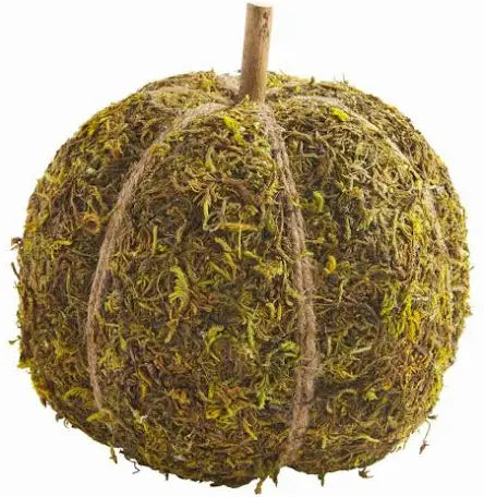 Moss Pumpkins - Thumbnail 3