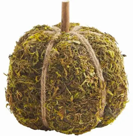 Moss Pumpkins - Thumbnail 4
