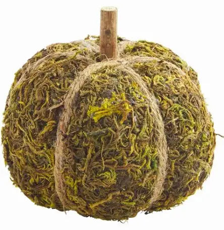 Moss Pumpkins - Thumbnail 2