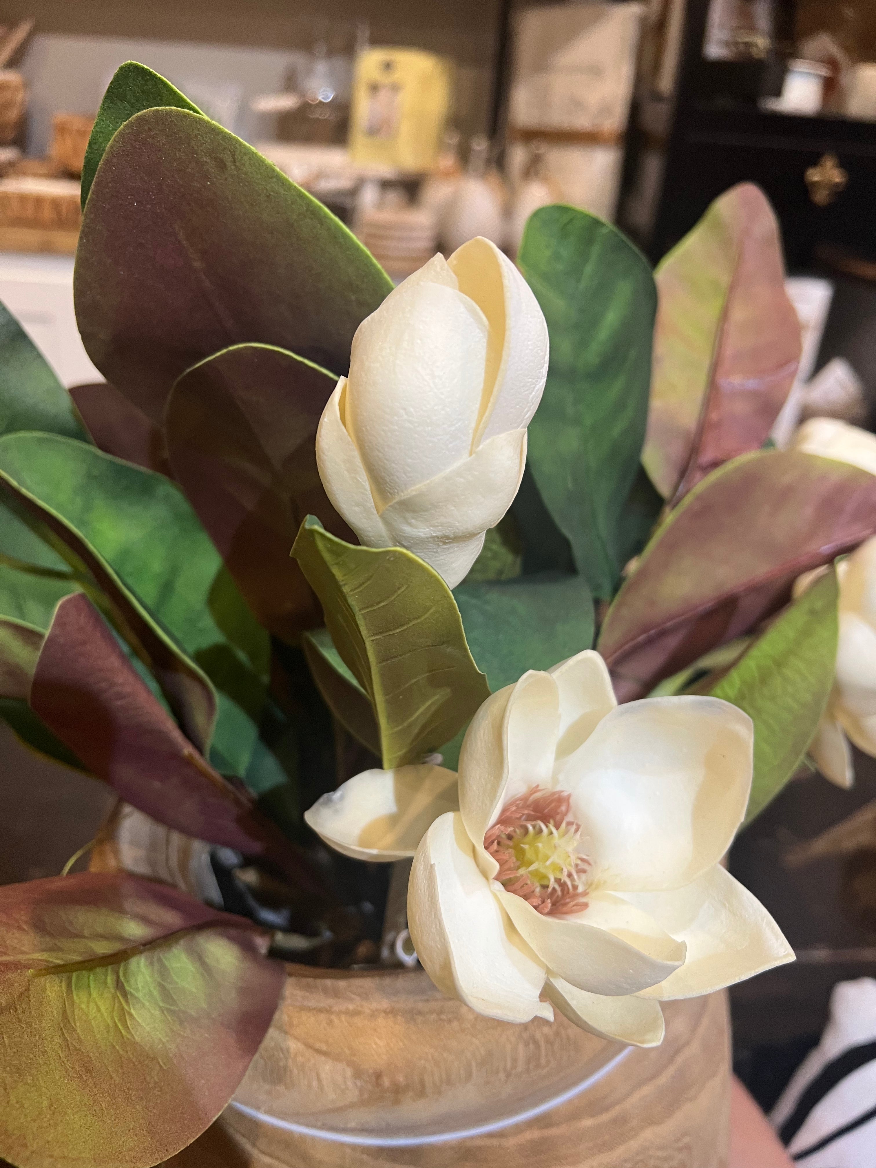 Artificial magnolia flowers and leaves.