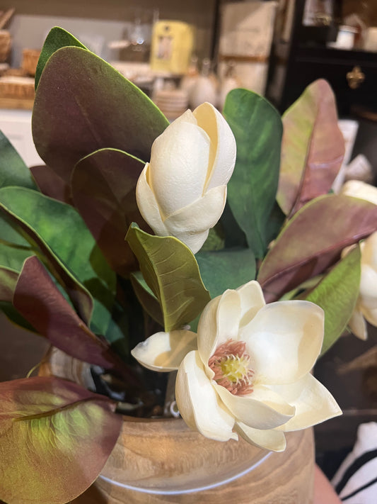 Artificial magnolia flowers and leaves.