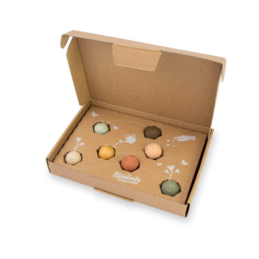 Buzzy Seeds Grow Gifts - Small Dear Teacher Seed Bomb Box | Wildflower Balls | Gift
