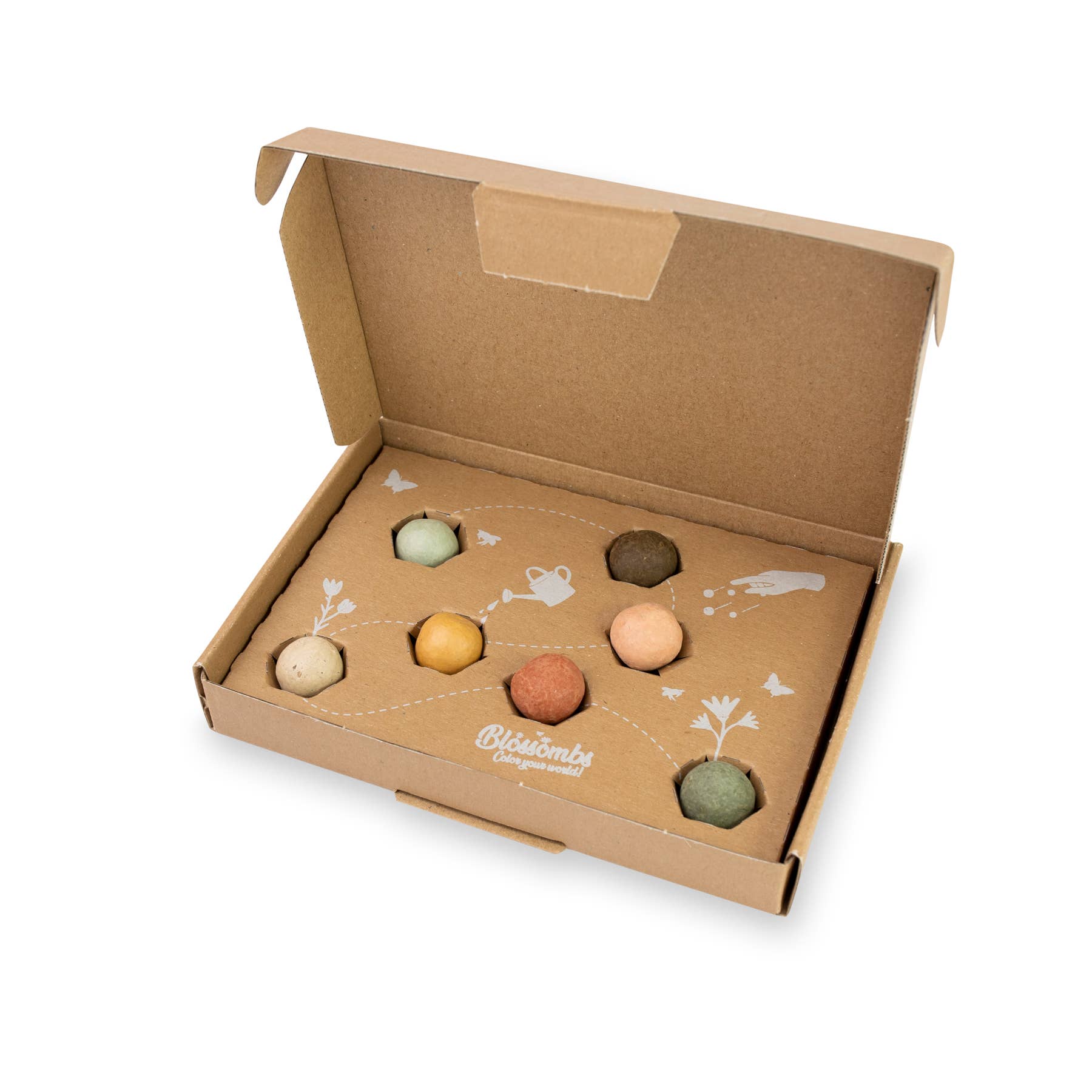 Buzzy Seeds Grow Gifts - Small Dear Teacher Seed Bomb Box | Wildflower Balls | Gift