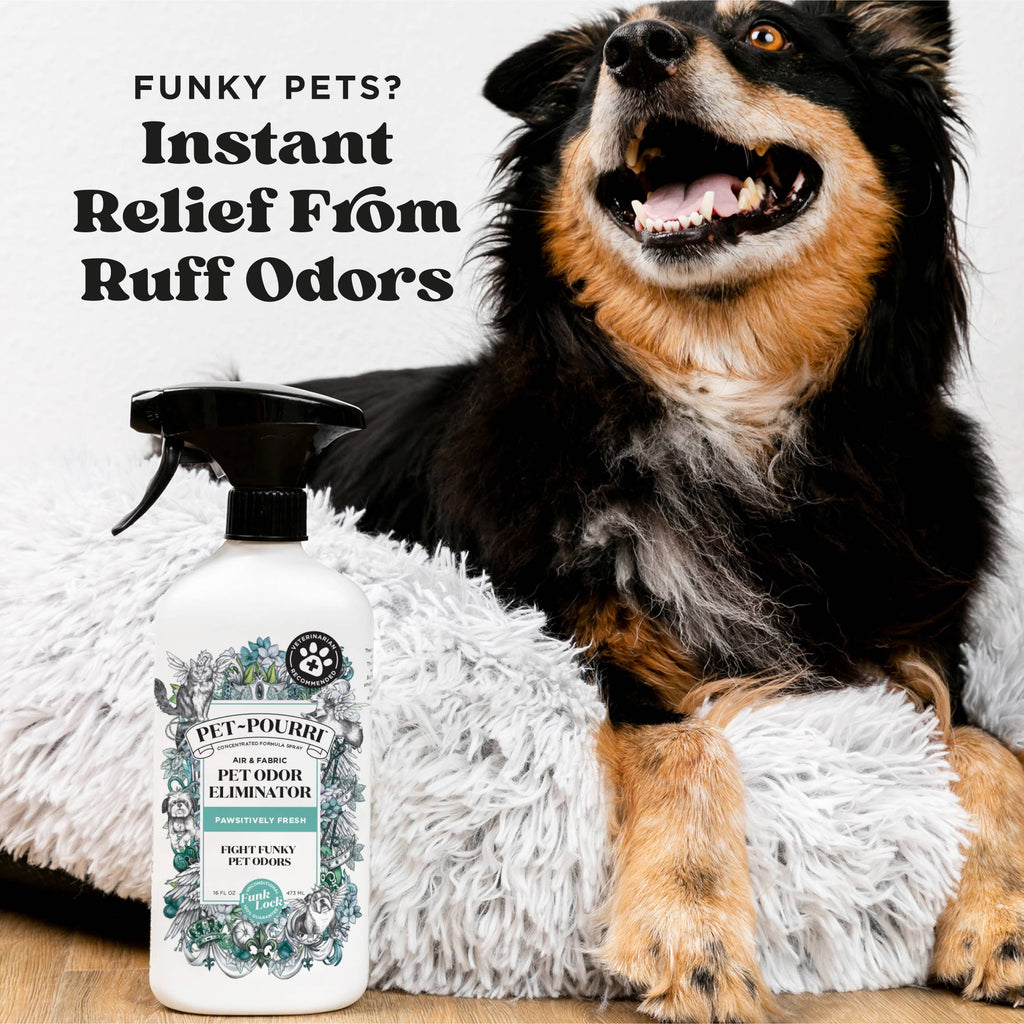 ~Pourri - Pet~Pourri Pawsitively Fresh Air+Fabric Odor Refresher 16oz