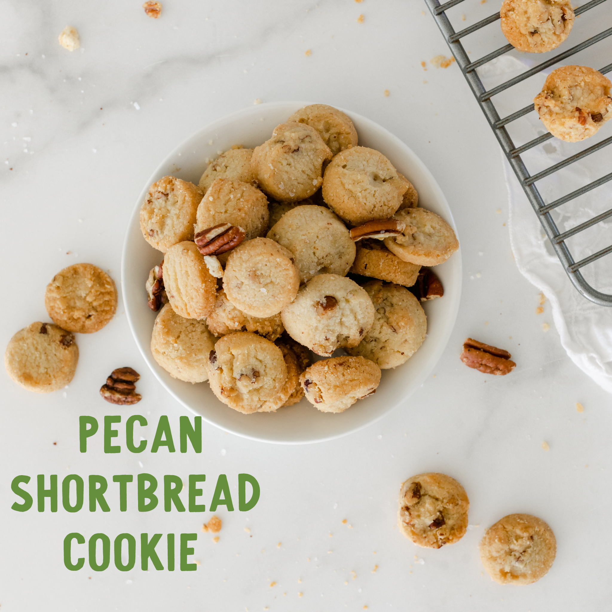 South Carolina Gift Tin | Gourmet Shortbread Cookies or Nuts