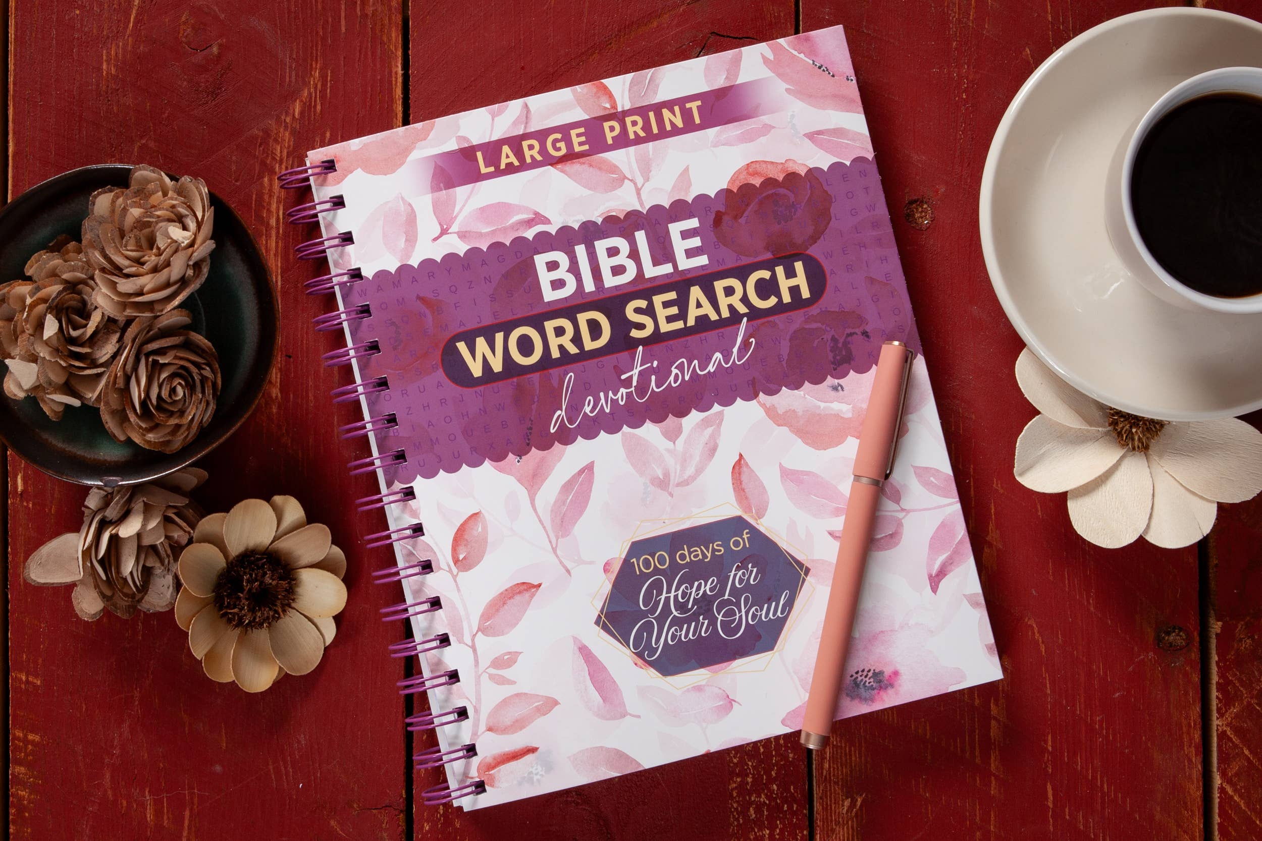 BroadStreet Publishing Group, LLC - 100 Days of Hope for Your Soul (Word Search Devotional)