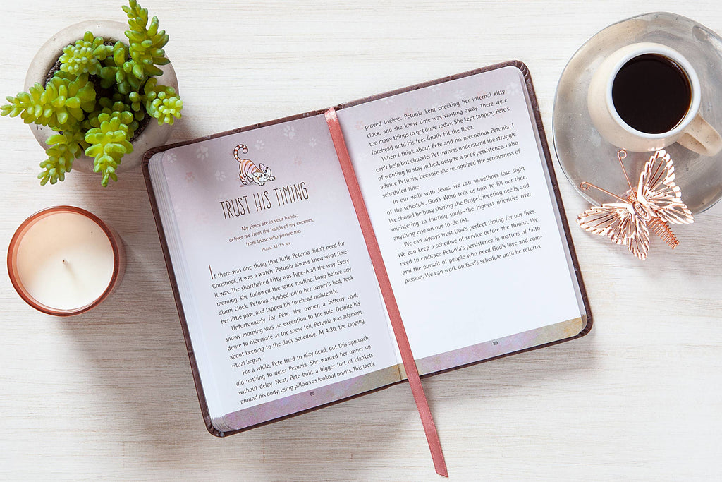 BroadStreet Publishing Group, LLC - 52 Devotions for Cat Lovers (Devotional, Fall Reading)