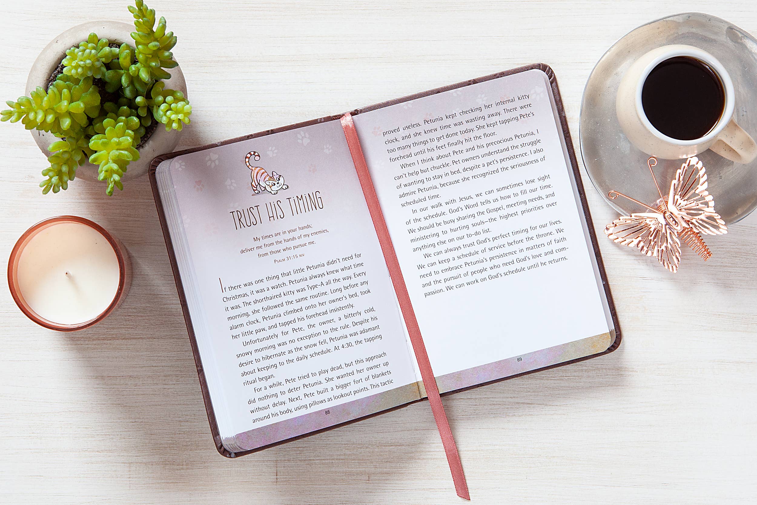 BroadStreet Publishing Group, LLC - 52 Devotions for Cat Lovers (Devotional, Fall Reading)