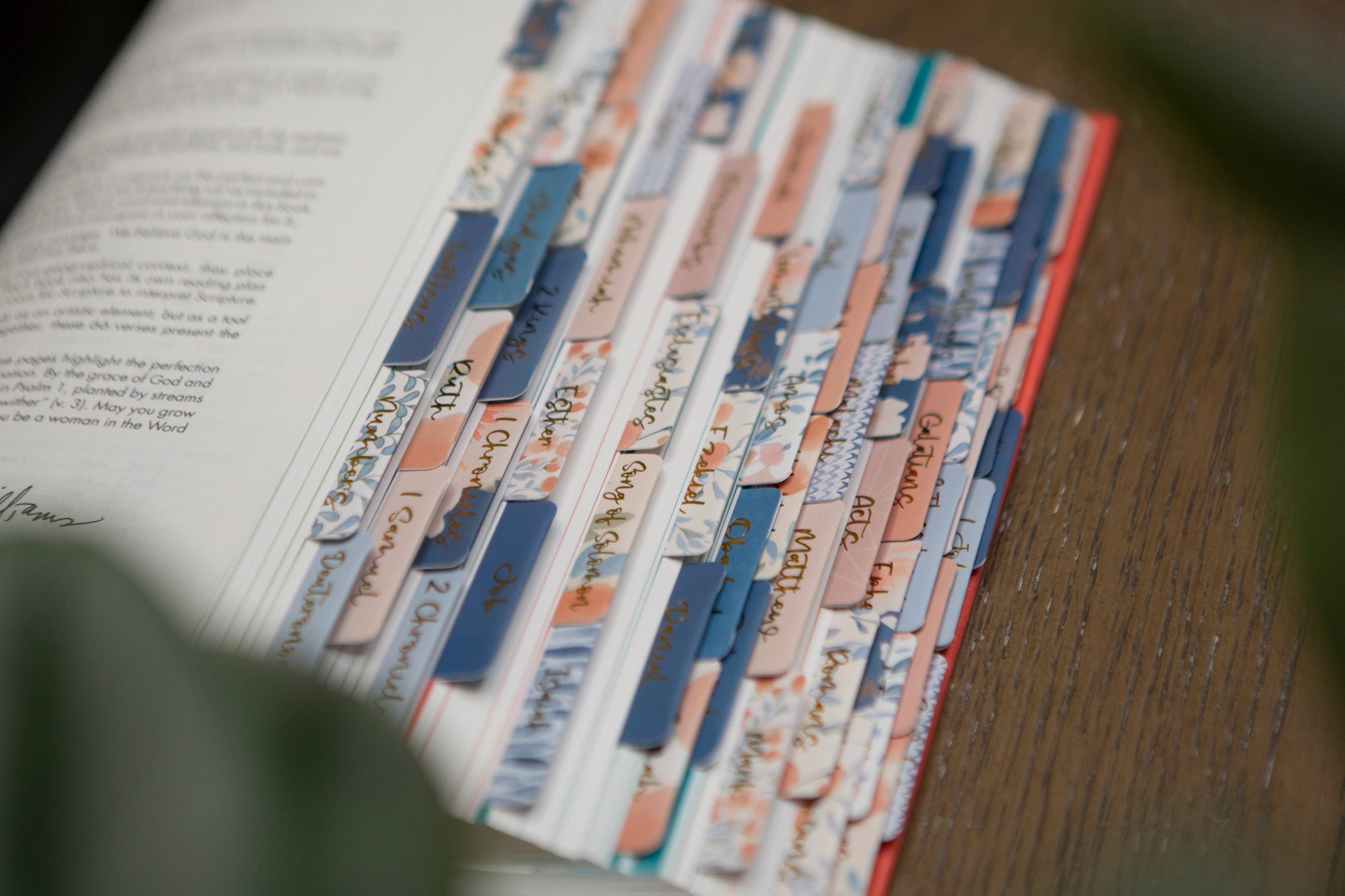 Chosen & Cherished - Tabs For Your Bible | Pretty Bible Book Tabs