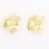 Aria Earring