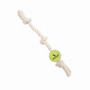 Local Boy Dog Toys