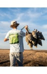 Dirty Marsh T-Shirts
